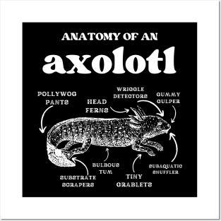 Anatomy of an axolotl axolotls lover Posters and Art